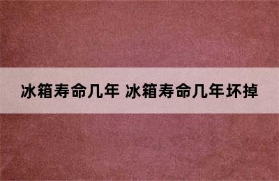 冰箱寿命几年 冰箱寿命几年坏掉